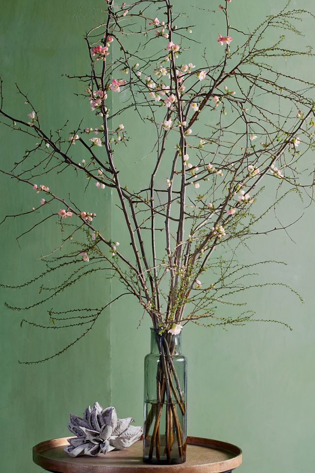 Quince Branches #7