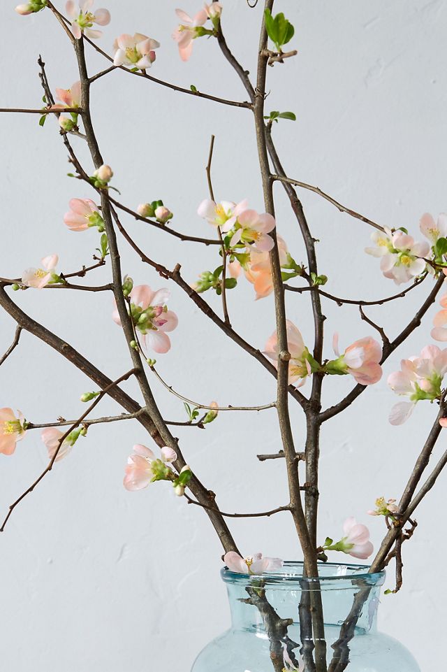 Quince Branches #5