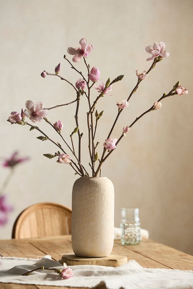Tulip Magnolia Branches #3