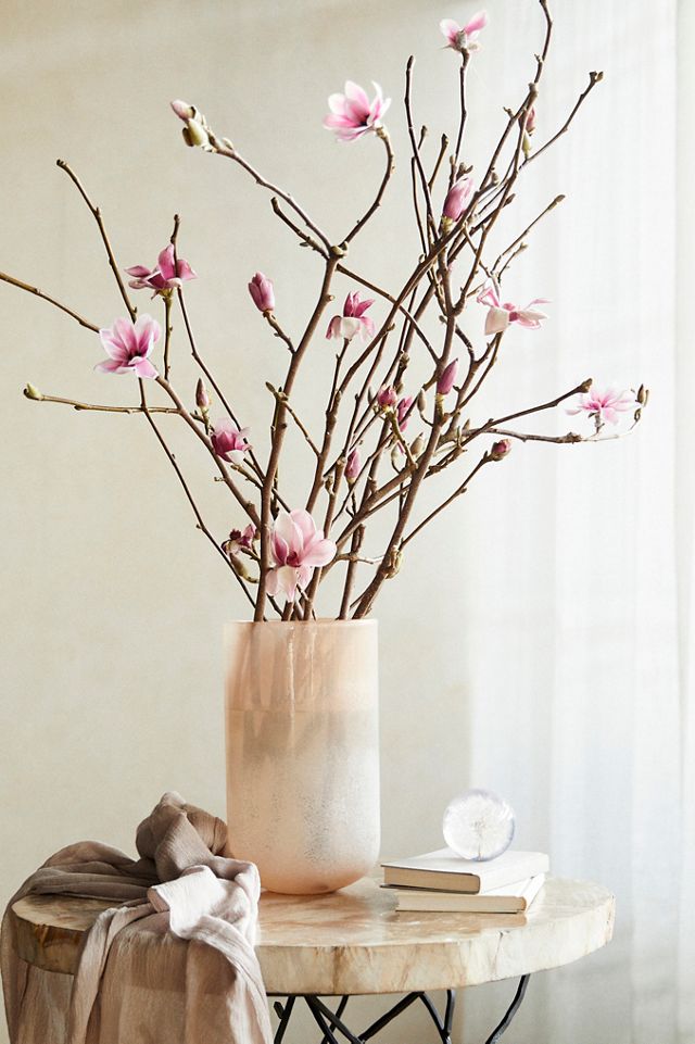 Tulip Magnolia Branches #11