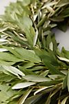 Fresh Ruscus + Olive Leaf Wreath #1