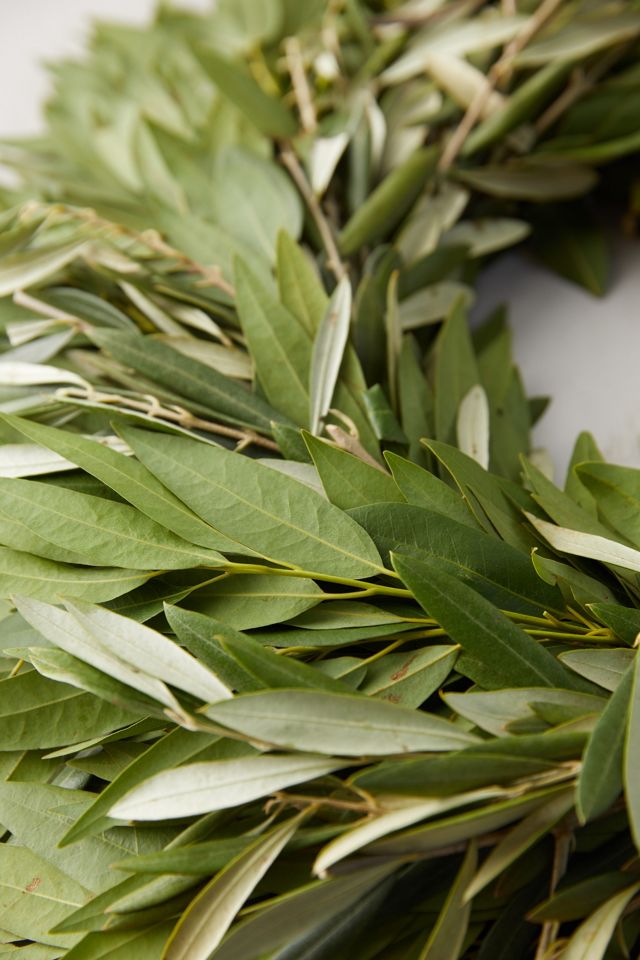 Fresh Ruscus + Olive Leaf Wreath #3