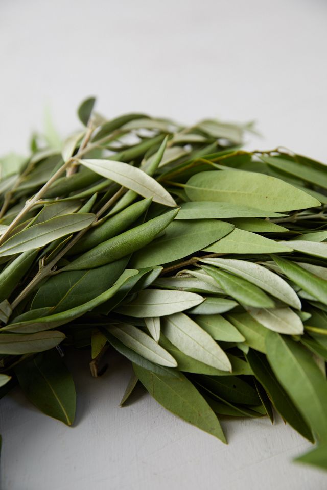 Fresh Ruscus + Olive Leaf Wreath #4