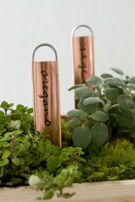 Copper Plant Markers, Vertical