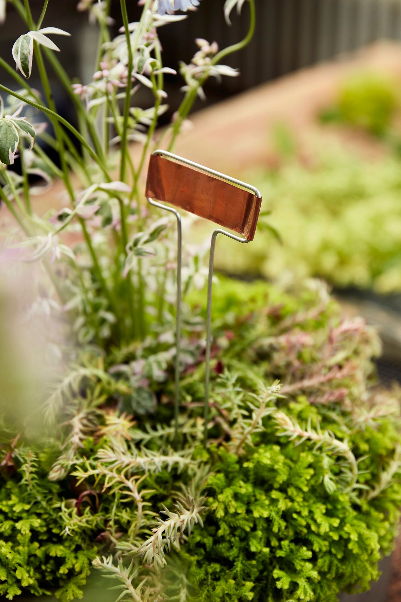 Copper Plaque Plant Markers, Set of 10 - Copper, One Size