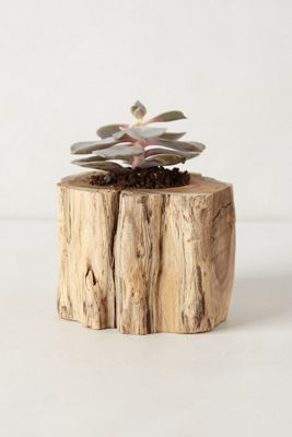 Tree Trunk Planter