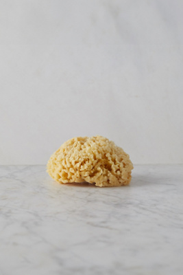 Bath Sponge, Small | Terrain