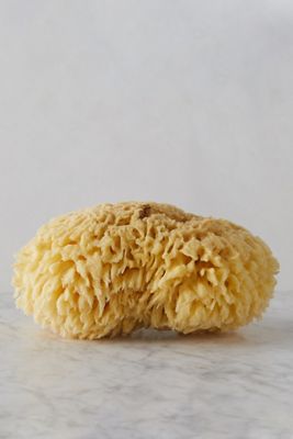 Bath Sponge, Medium