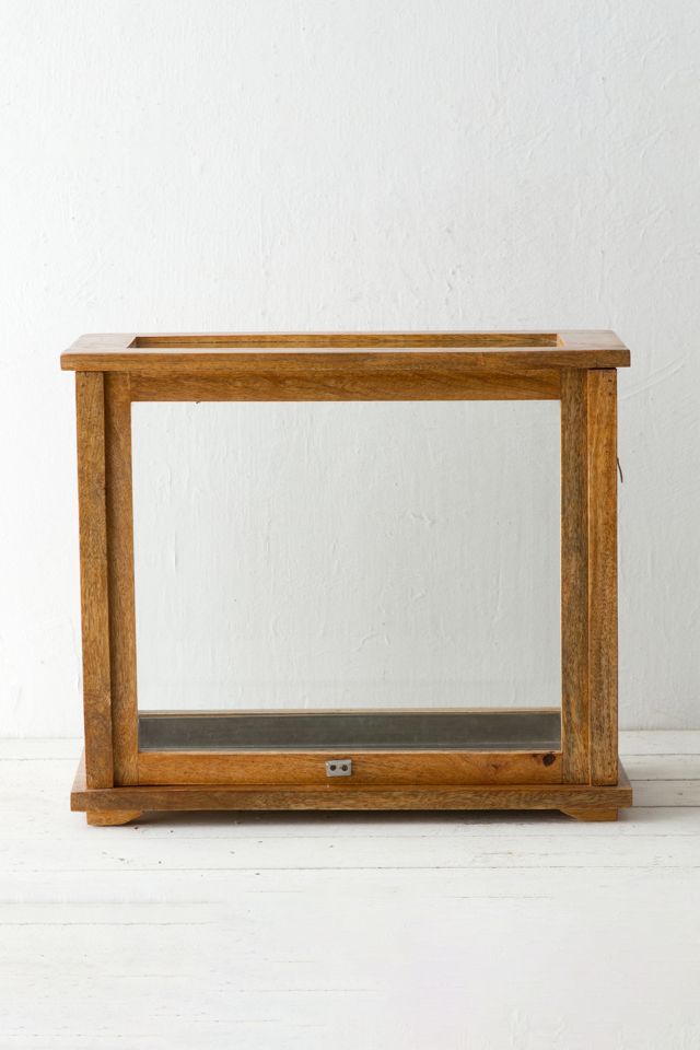 Specimen Case Terrarium #2