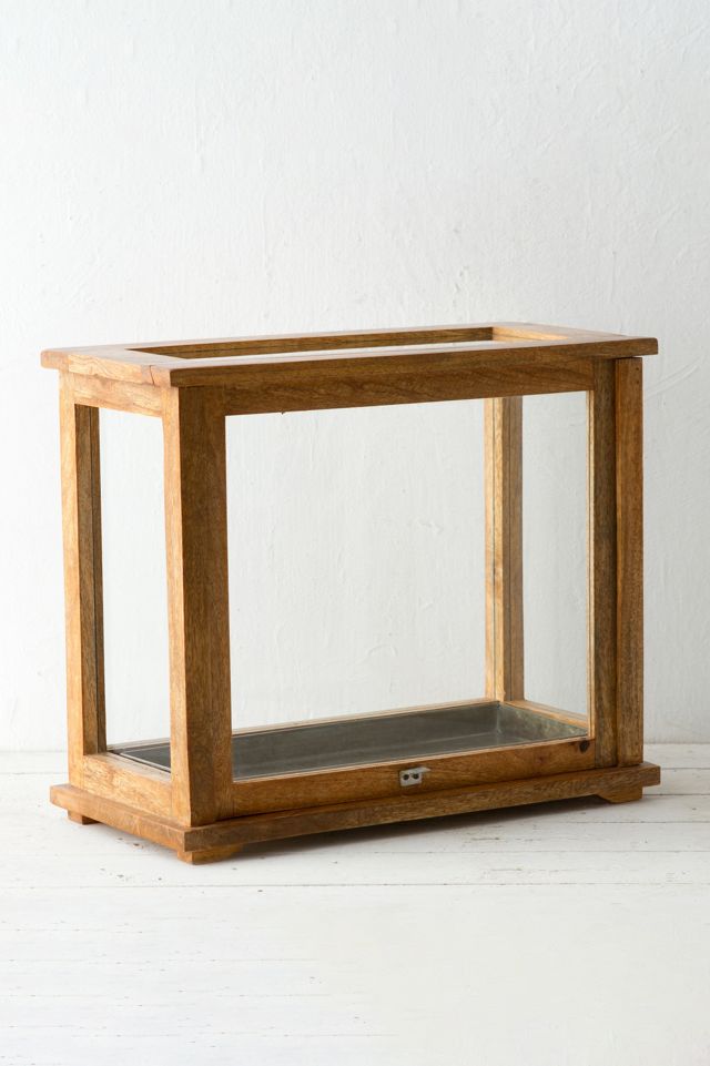 Specimen Case Terrarium #3