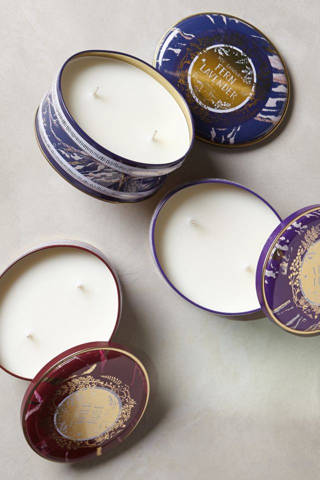 Fernery Candle Tin #2