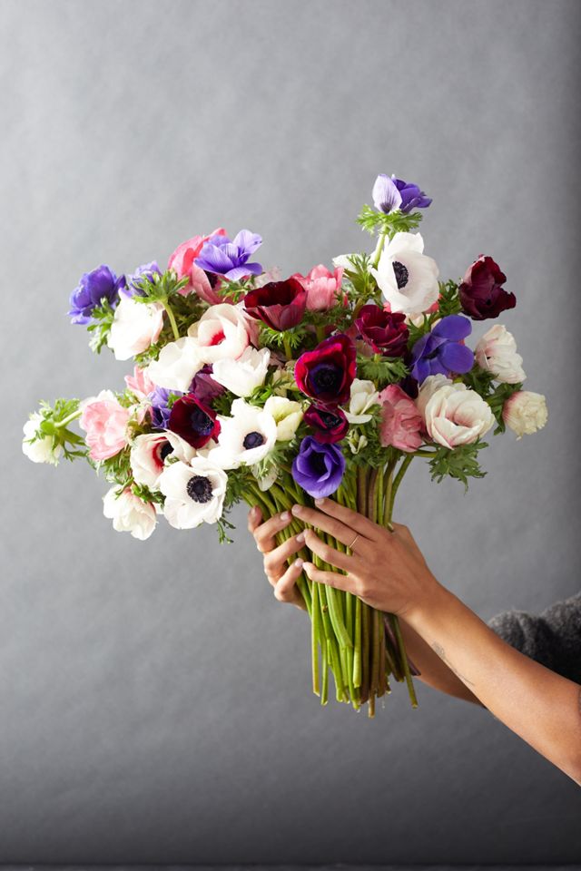 Fresh Mixed Anemone Bunch #4