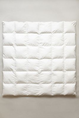 Hypoallergenic Down Duvet Insert