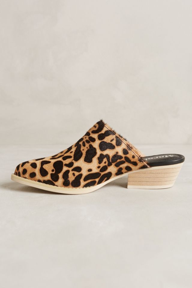 Marais Cowboy Mules #2