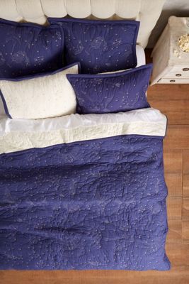 Cosmos Coverlet