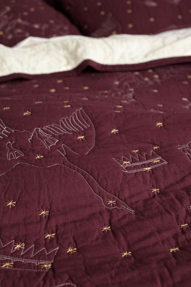 Cosmos Coverlet #1