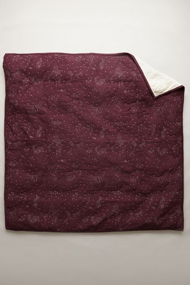 Cosmos Coverlet #3