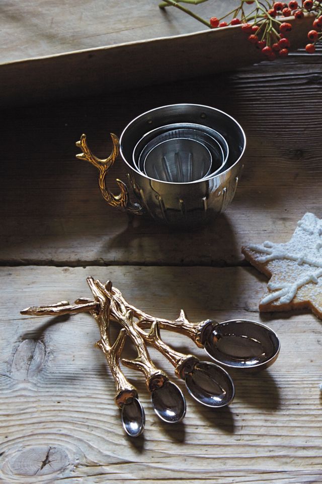 Twisted Twig Measuring Spoons #1