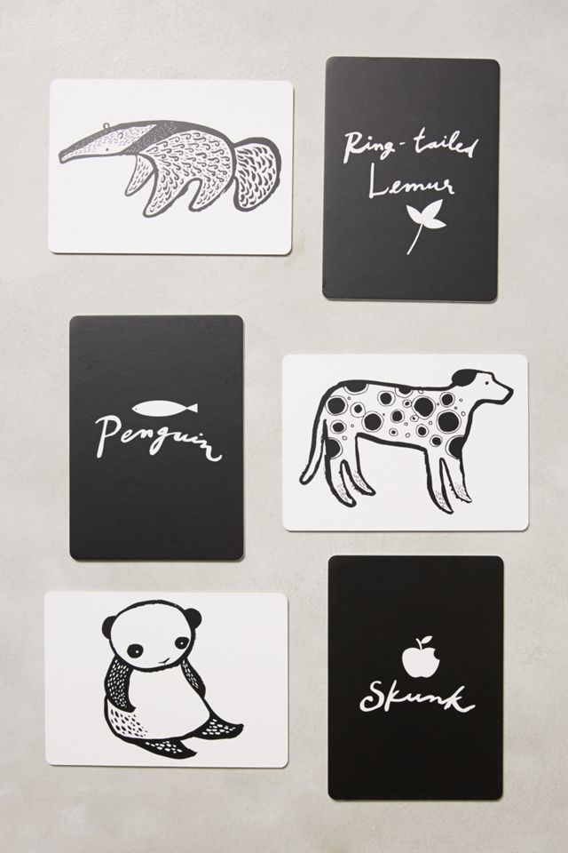 Animal Art Cards #2