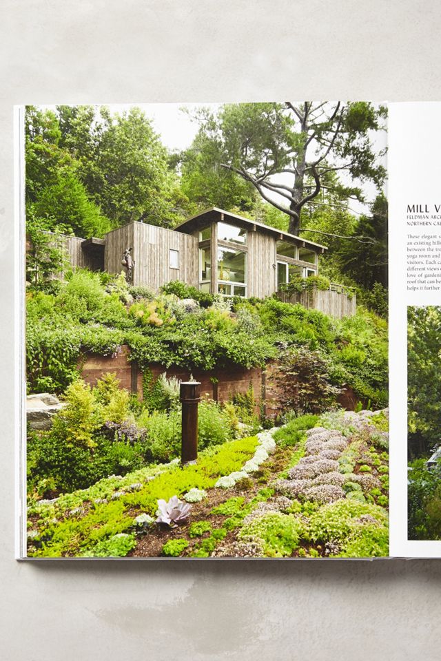 Rock The Shack #1