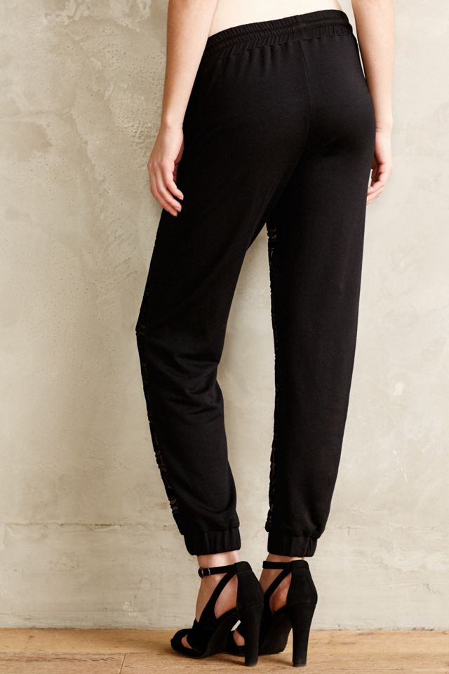 Velvet Burnout Sweatpants #2