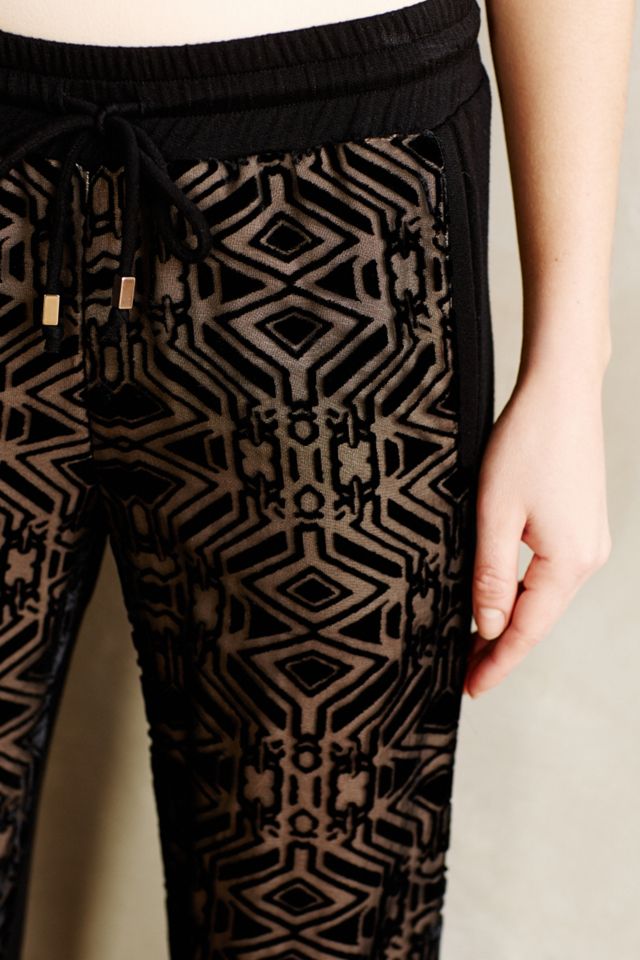 Velvet Burnout Sweatpants #3