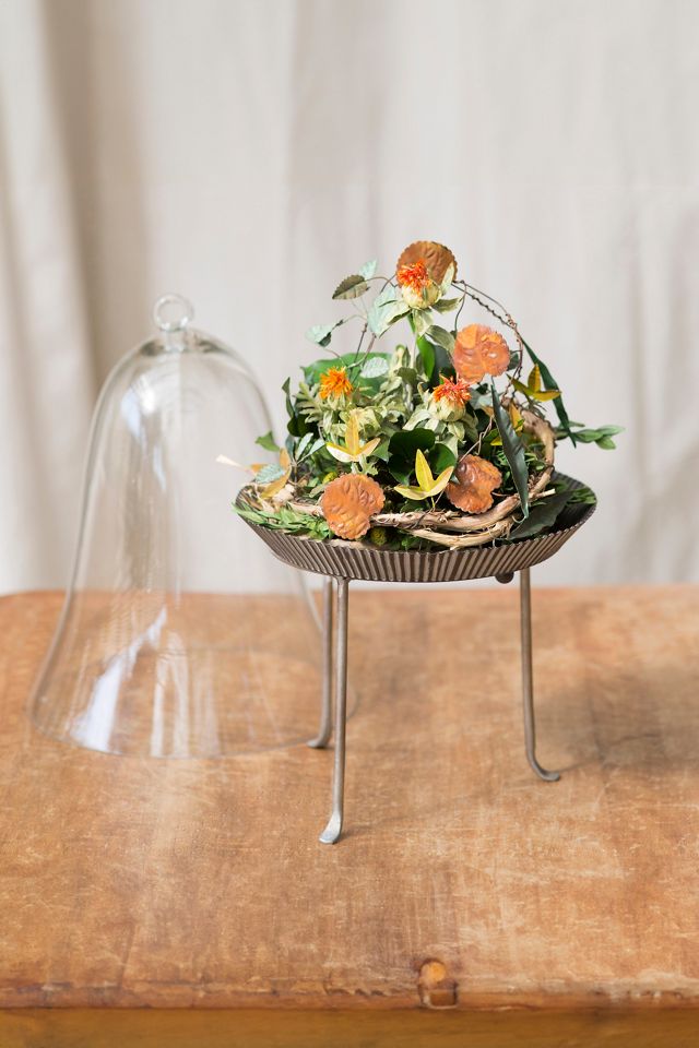 Habit & Form Tart Plant Tray, Distressed #7
