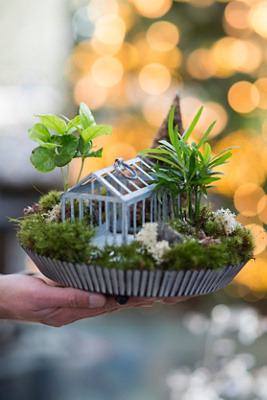 Terrain Habit & Form Tart Plant Tray, Distressed