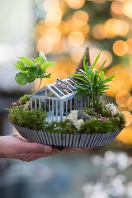 Habit & Form Tart Plant Tray, Distressed