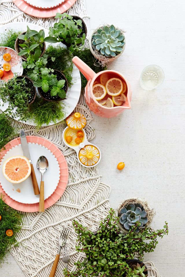 Sun Grove Tableware #1