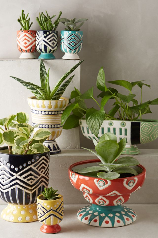Anivalda Mini Garden Pot #3