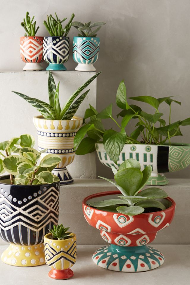 Anivalda Mini Garden Pot #5