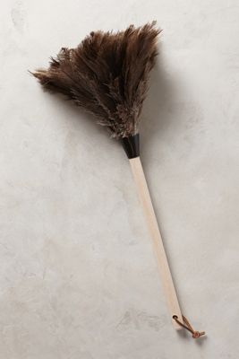 Ostrich Feather Duster