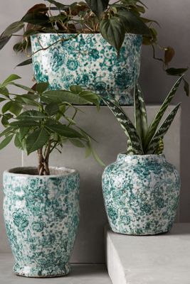 Wafture Planter