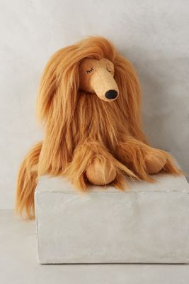Annabel Afghan Hound