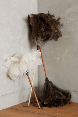 Ostrich Feather Duster