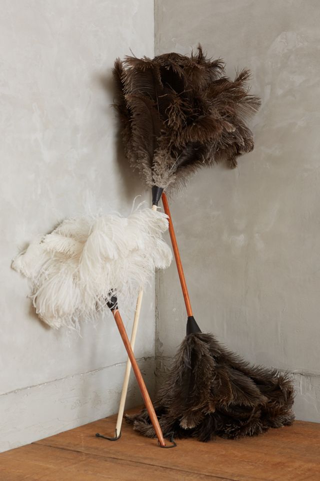 Ostrich Feather Duster #2