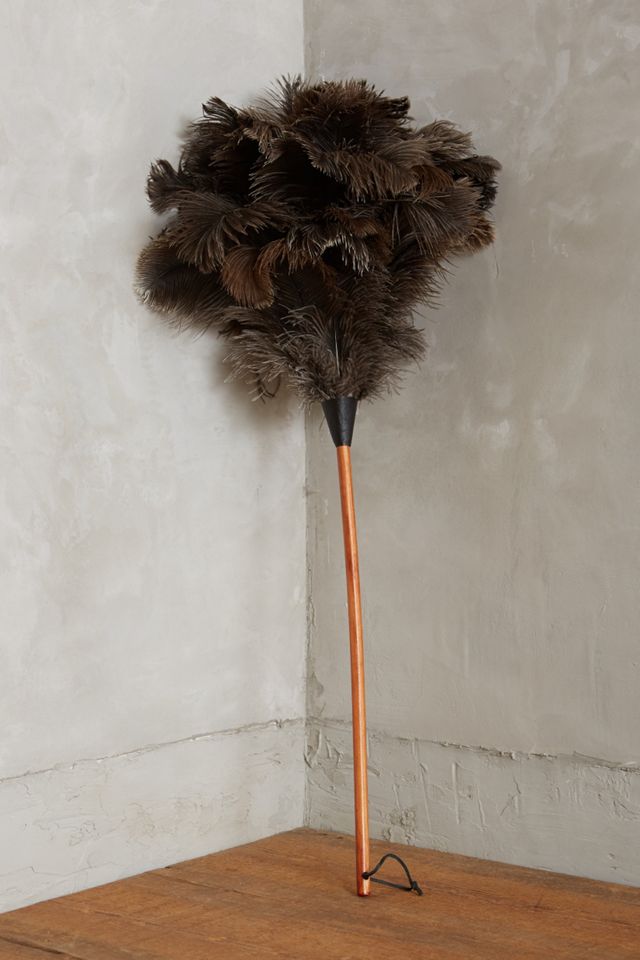 Ostrich Feather Duster #3