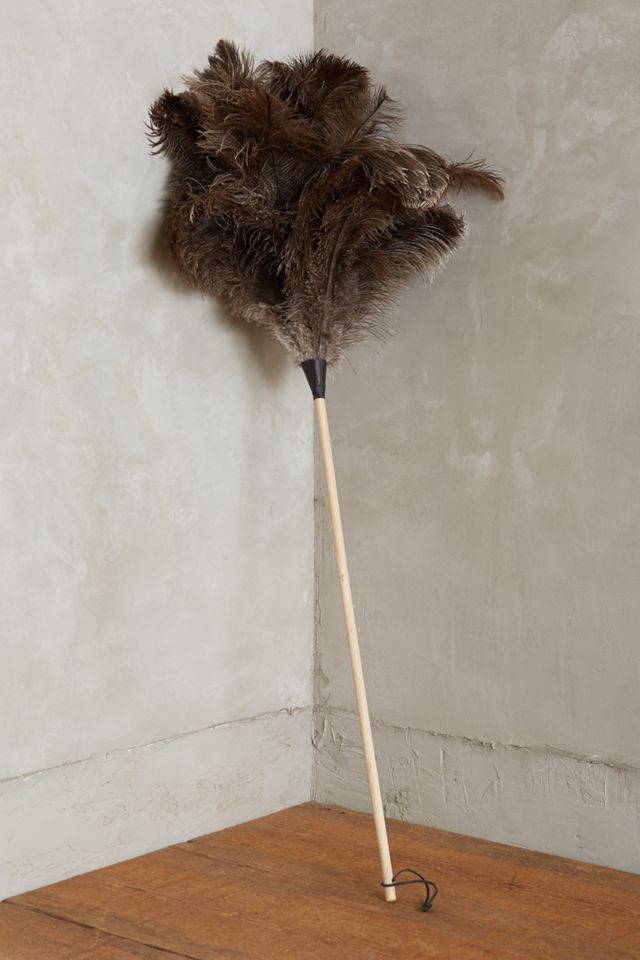 Ostrich Feather Duster #1