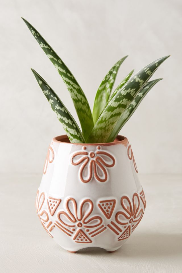 Anta Herb Pot #1