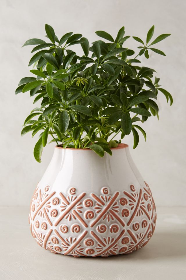 Anta Herb Pot #2