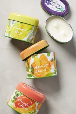 Illume Freshly Picked Candle