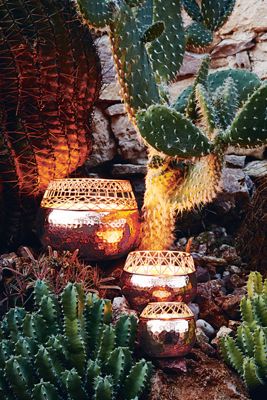 Illume Cyprus Candle