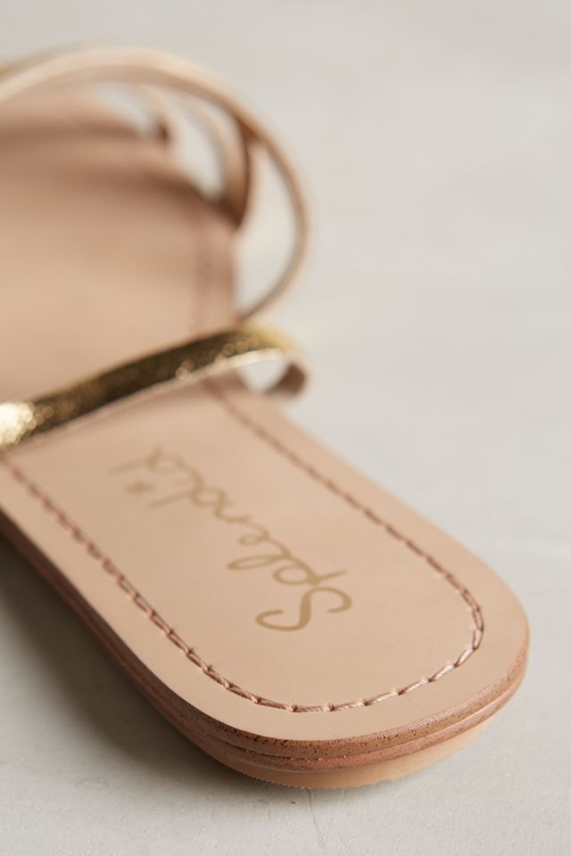 Splendid Taylor Sandals #5