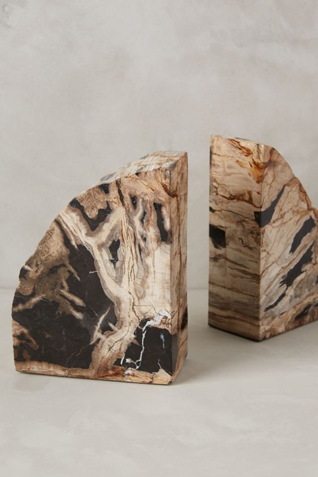 Petrified Wood Bookends #1