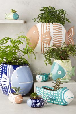 Perch Window Planter