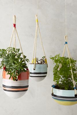 Tigris Hanging Garden Pot