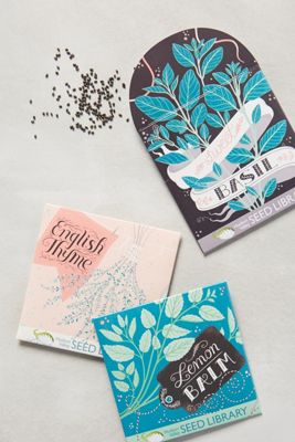 Herb Seed Variety