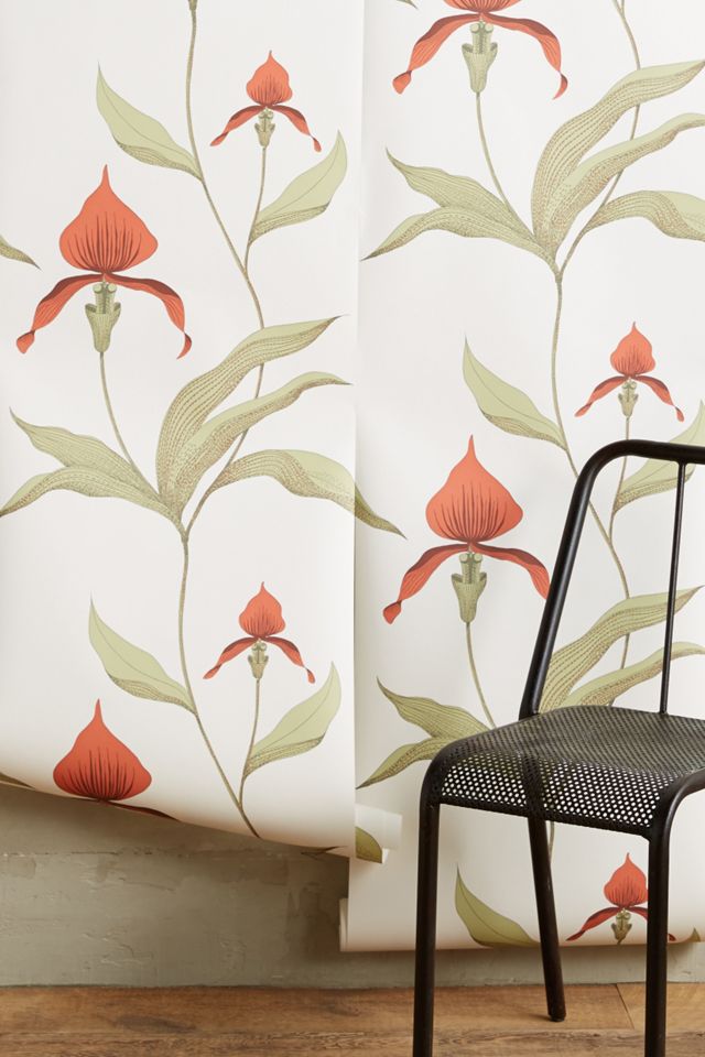 Climbing Orchid Wallpaper #3