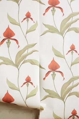 Climbing Orchid Wallpaper